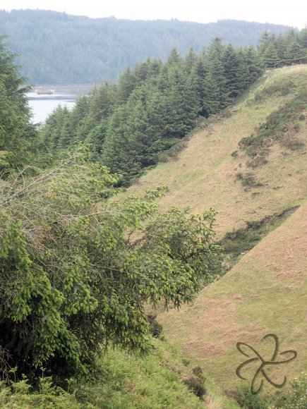 Steep sides of the valley Crammag River flows in