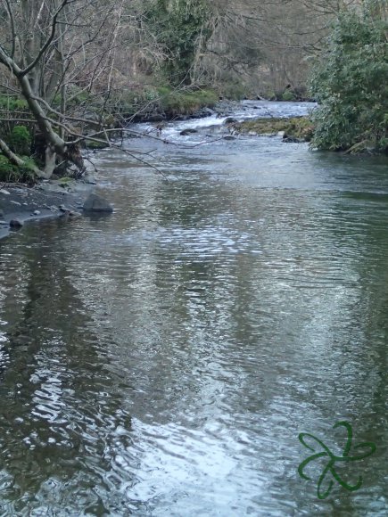 Laxey River