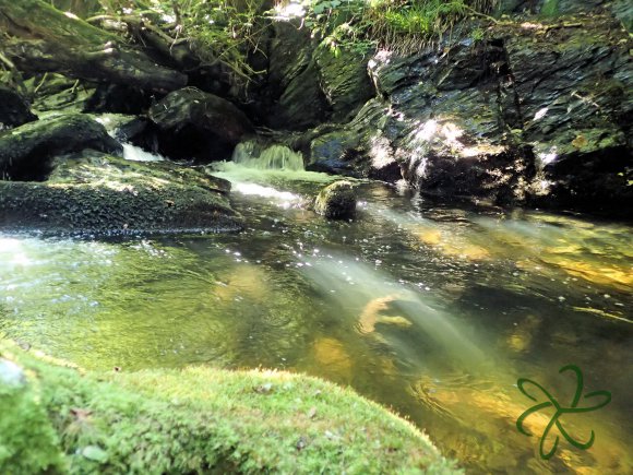 Another stunning pool