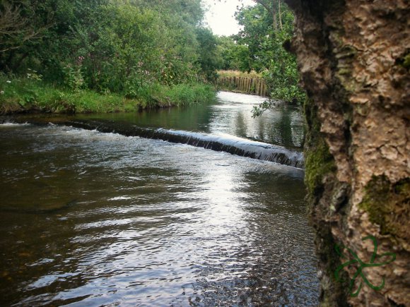 River Neb Weir