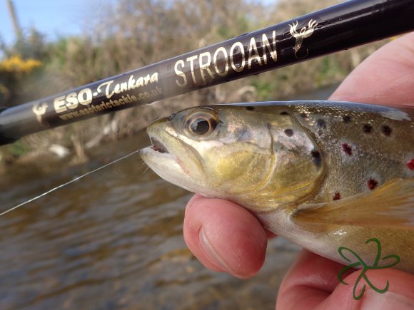 Tenkara Stroon